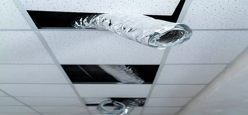 Affordable HVAC Sanitizing After Pest Removal in Bella Vista