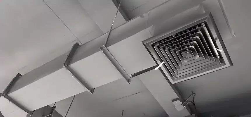 Our Pest Removal From Ducts Services in Bella Vista, AR