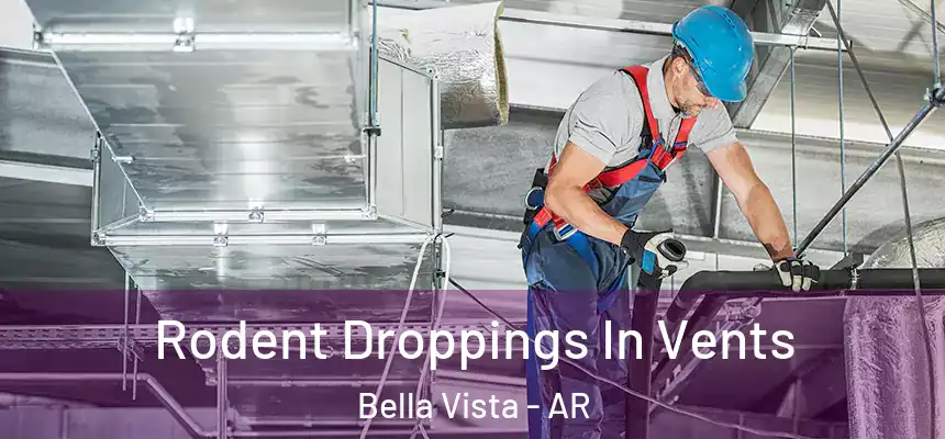  Rodent Droppings In Vents Bella Vista - AR