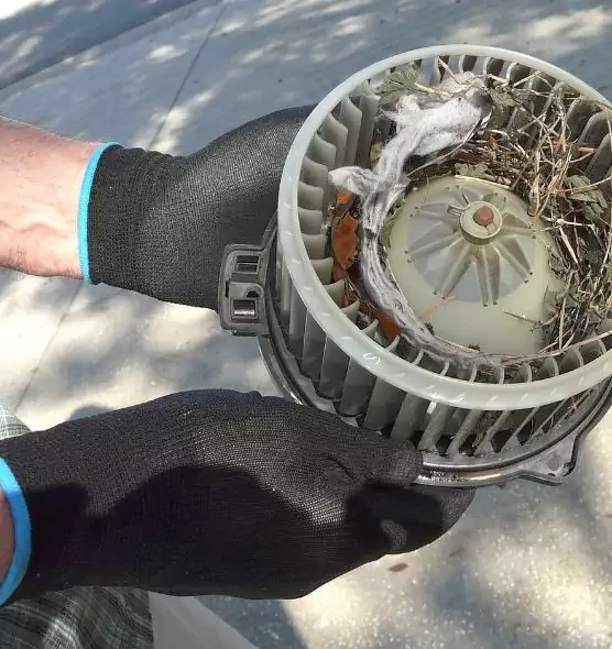 About Air Duct Rat Removal in Bella Vista, AR