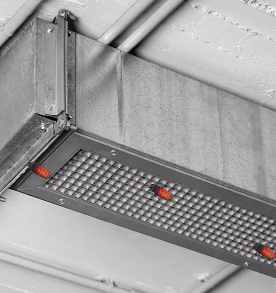 Affordable Insect Removal from Air Ducts in Bella Vista, AR