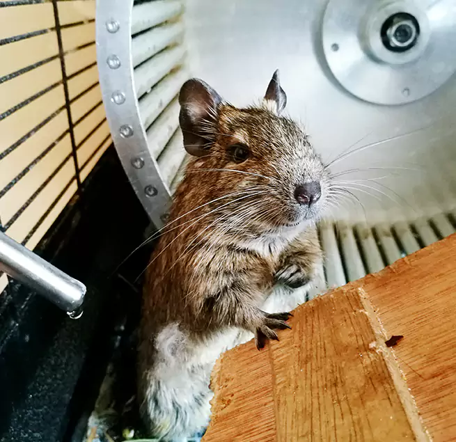 Why Homeowners & Businesses Trust Us Bella Vista, AR