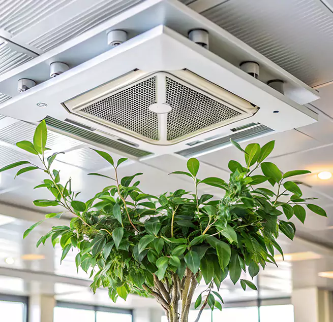 Why Homeowners & Businesses Trust Us in Bella Vista, AR?