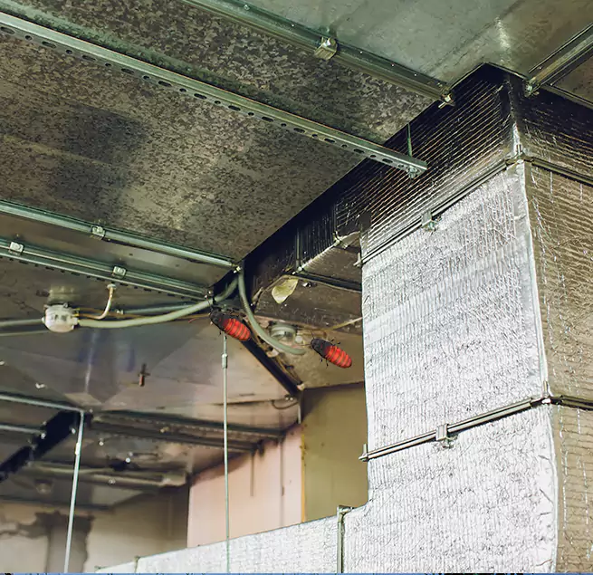 Why Homeowners & Businesses Trust Us Bella Vista, AR?